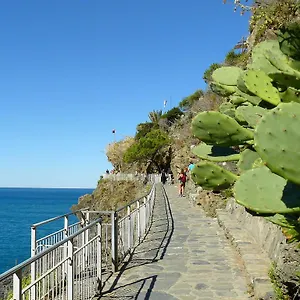 La Sfinge Deiva Marina
